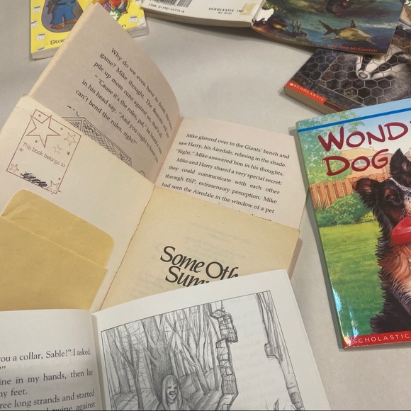 Set of 16 Young Readers Animal Lovers RL3 RL4 Early Reading Pets Chapter Books - Picture 10 of 13